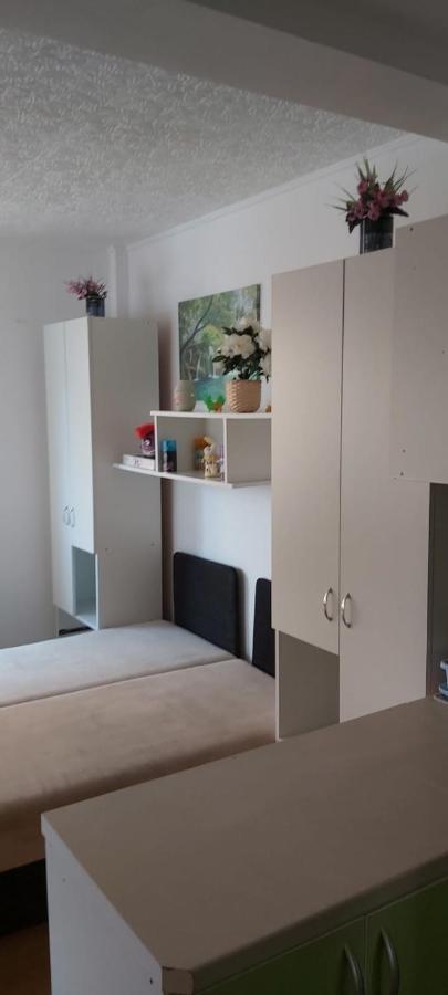Pensiunea Casa Mara Appartamento Bucarest
