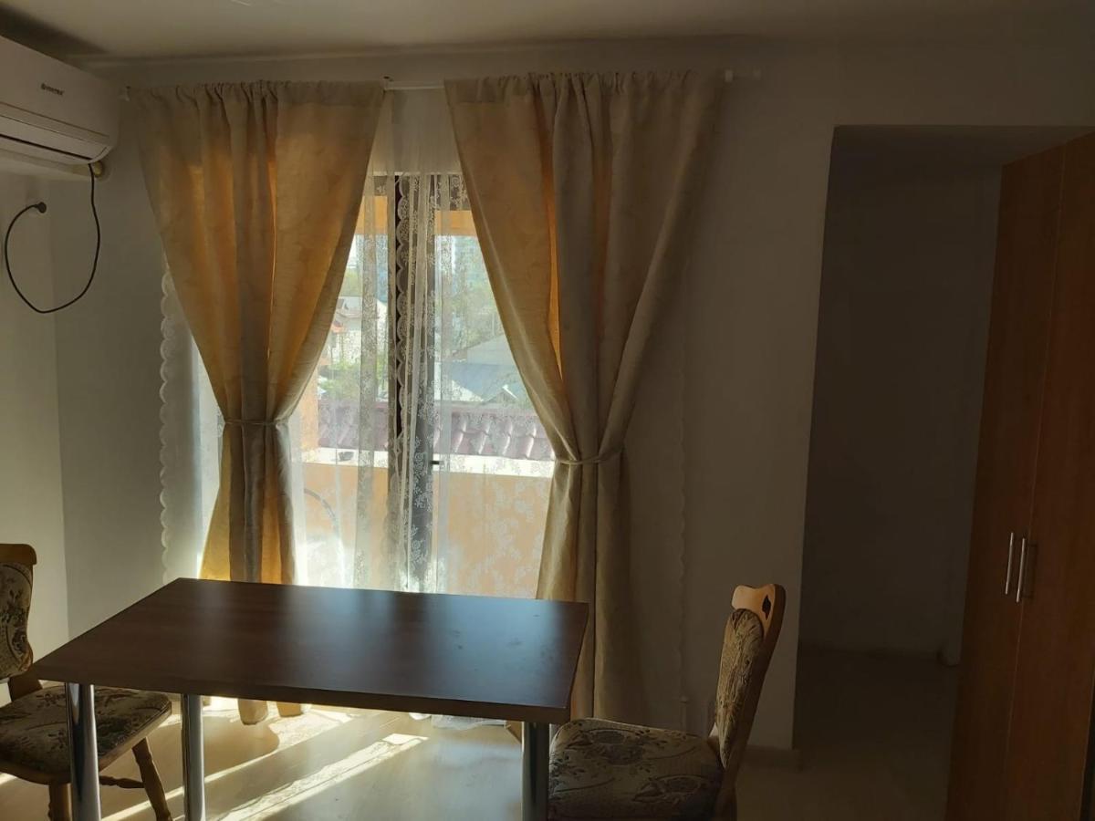 Appartamento Pensiunea Casa Mara *