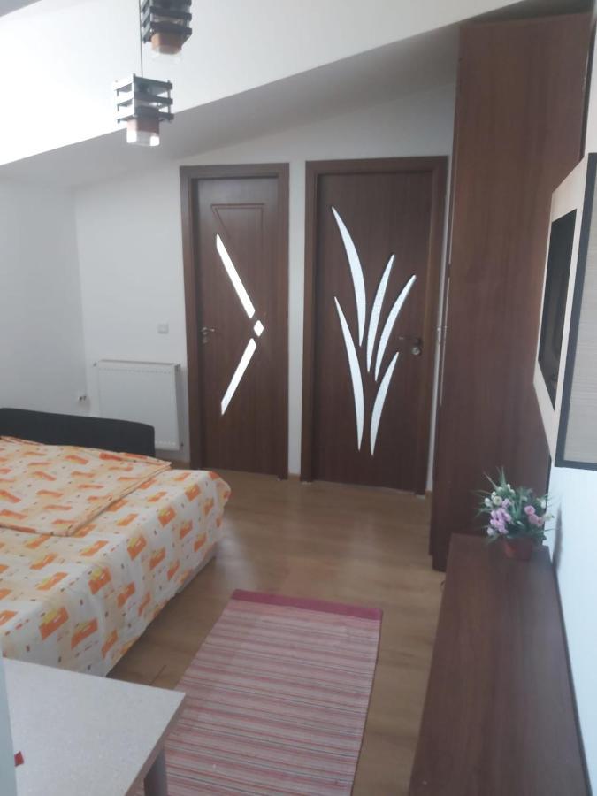 Appartamento Pensiunea Casa Mara *
